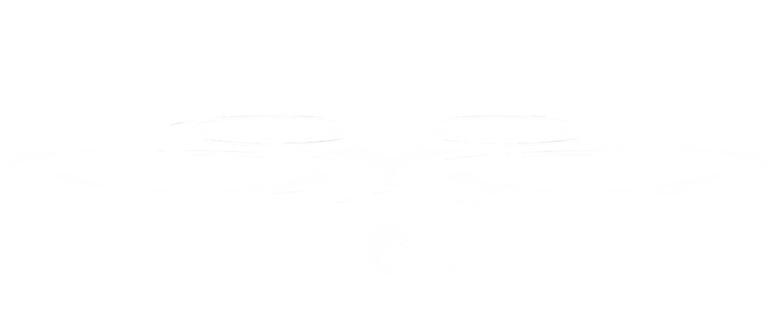 FlyEyeSight